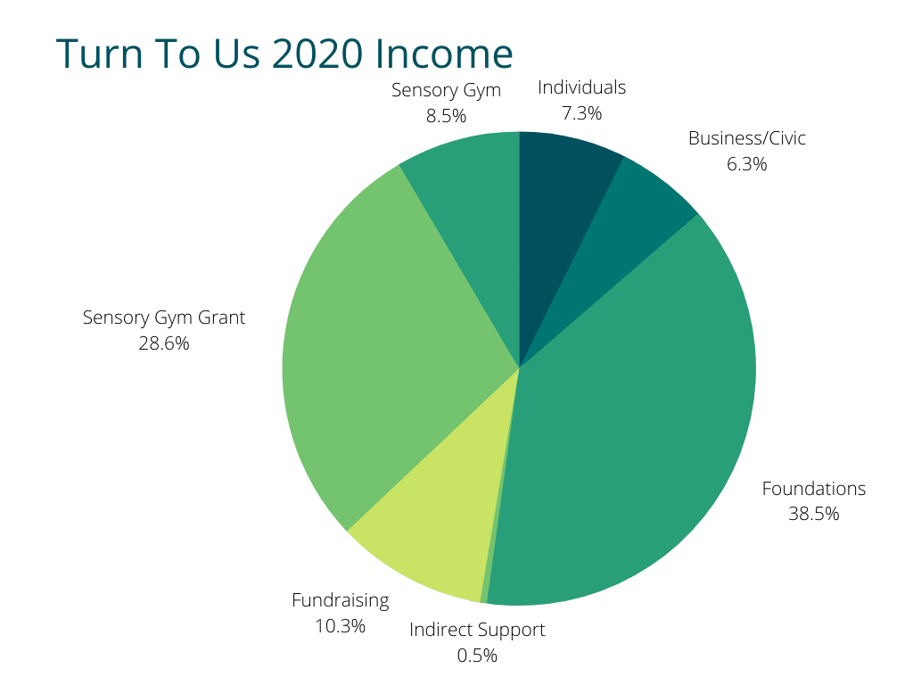 Turn To Us Income Pie Chart